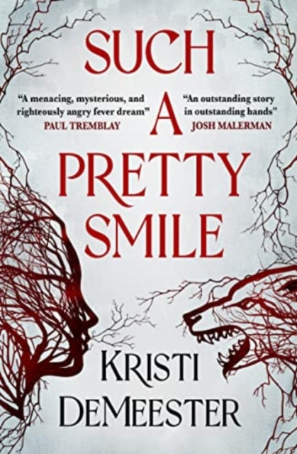 Book cover of: Such a Pretty Smile. By: Kristi DeMeester
