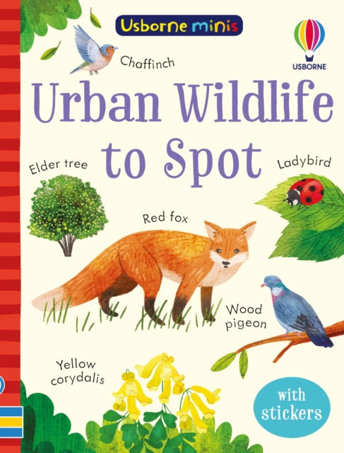 Urban Wildlife to Spot 9781803704746 Kate Nolan