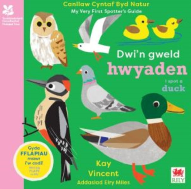 Book cover of: Dwi'n Gweld Hwyaden / I Spot a Duck
