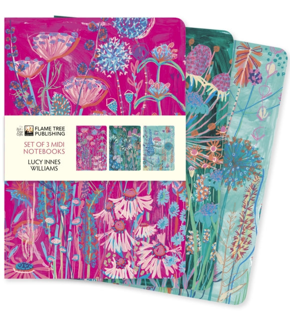 Book cover of: Lucy Innes Williams Set of 3 Midi Notebooks. By: Flame Tree Studio