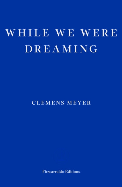 Book cover of: While We Were Dreaming. By: Clemens Meyer