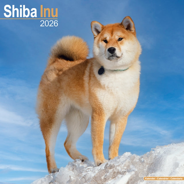 Book cover of: Shiba Inu Calendar 2026  Square Dog Breed Wall Calendar - 16 Month