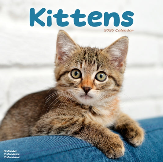Book cover of: Kittens Calendar 2026  Square Cats Wall Calendar - 16 Month