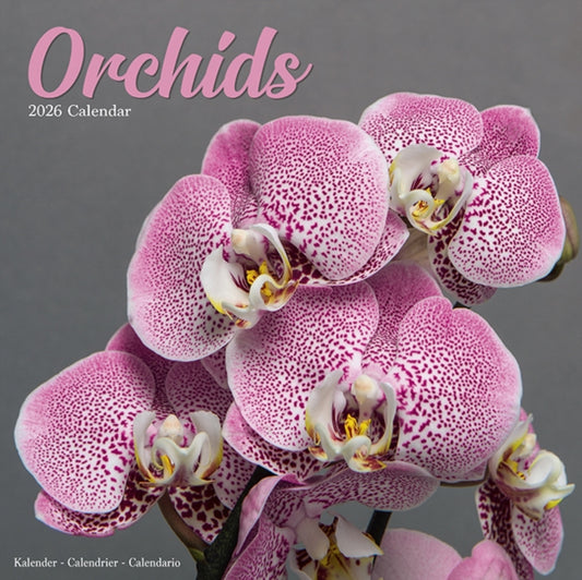 Book cover of: Orchids Calendar 2026  Square Flowers Wall Calendar - 16 Month