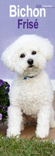 Book cover of: Bichon Frise Slim Calendar 2026  Dog Breed Slimline Calendar - 12 Month