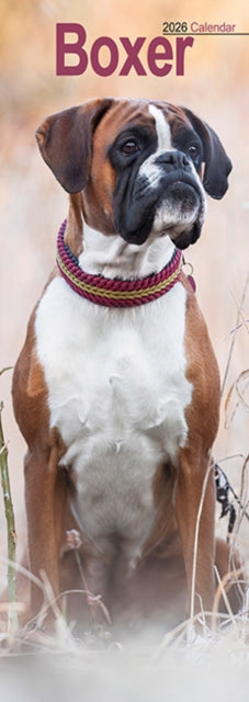 Book cover of: Boxer Slim Calendar 2026  Dog Breed Slimline Calendar - 12 Month