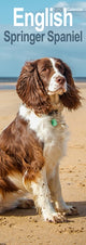 Book cover of: English Springer Spaniel  Slim Calendar 2026  Dog Breed Slimline Calendar - 12 Month