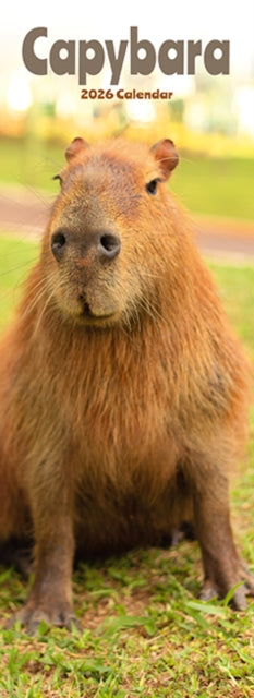 Book cover of: Capybara Slim Calendar 2026  Cute Slimline Calendar - 12 Month
