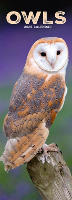 Book cover of: Owls Slim Calendar 2026  Bird Slimline Calendar - 12 Month