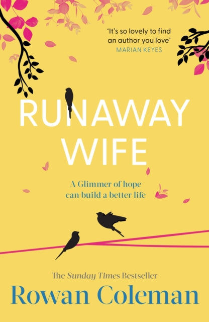 Book cover of: Runaway Wife. By: Rowan Coleman