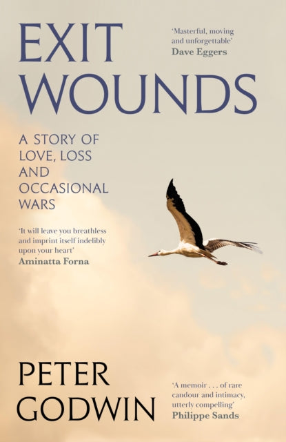 Book cover of: Exit Wounds