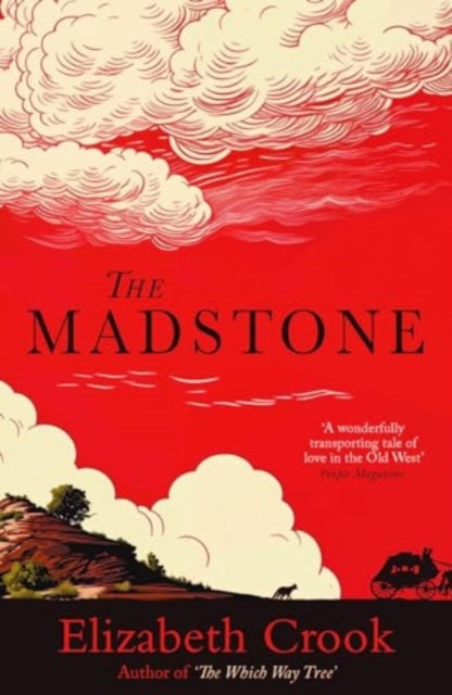 Book cover of: The Madstone. By: Elizabeth Crook