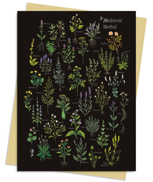 Book cover of: Anna Stead: A Medieval Herbal Greeting Card Pack