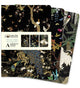 Book cover of: Ashmolean Museum Set of 3 Midi Notebooks