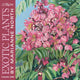 Book cover of: Kew Gardens: Exotic Plants by Marianne North Wall Calendar 2026 (Art Calendar)