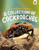 Book cover of: Discovering Insects: A Collection of Cockroaches
