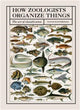 How Zoologists Organize Things, The art of classification 9781836006503 David Bainbridge
