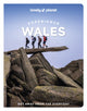 Book cover of: Lonely Planet Experience Wales. By: Lonely Planet
