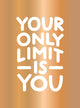Book cover of: Your Only Limit Is You