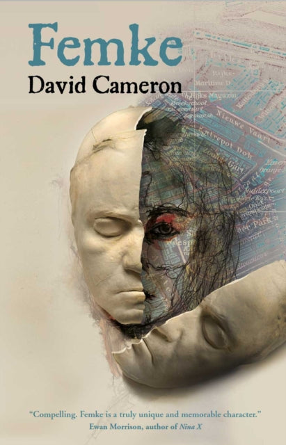 Book cover of: Femke. By: David Cameron