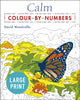 Book cover of: Large Print Calm Colour-by-Numbers