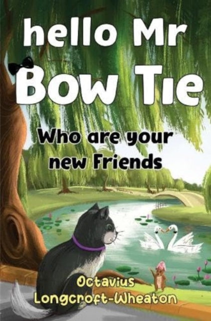 Book cover of: Hello Mr Bow Tie, Who are your new Friends