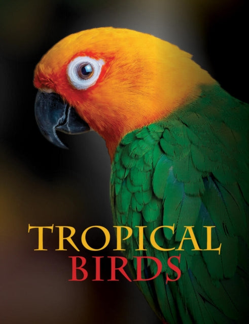 Book cover of: Tropical Birds. By: Tom Jackson