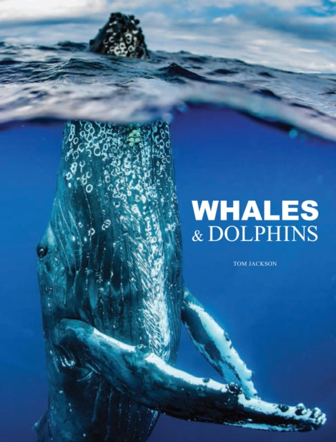Book cover of: Whales & Dolphins. By: Amber Books