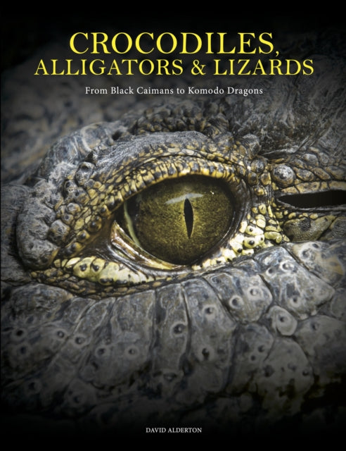 Crocodiles, Alligators & Lizards, From Black Caimans to Komodo Dragons 9781838864286 David Alderton