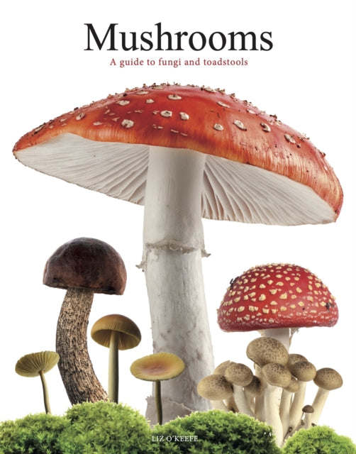 Book cover of: Mushrooms