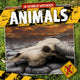 Book cover of: Animals. By: Anthony, William