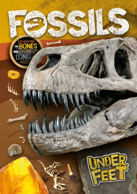 Book cover of: Fossils. By: Kirsty Holmes