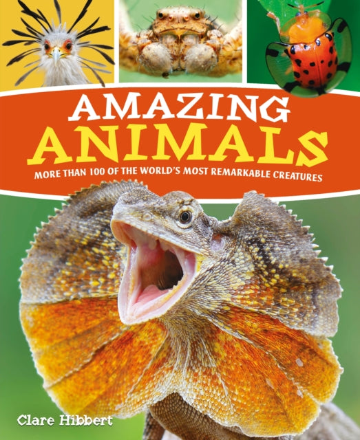 Book cover of: Amazing Animals. By: Clare Hibbert