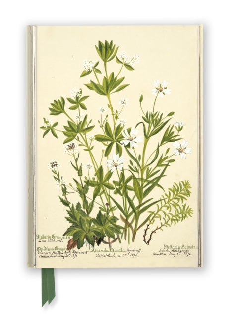Book cover of: RBGE: Charlotte Cowan Pearson: Stitchworts, Woodruff and Pepperwort (Foiled Journal). By: Flame Tree Studio