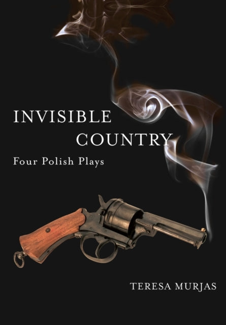 Book cover of: Invisible Country