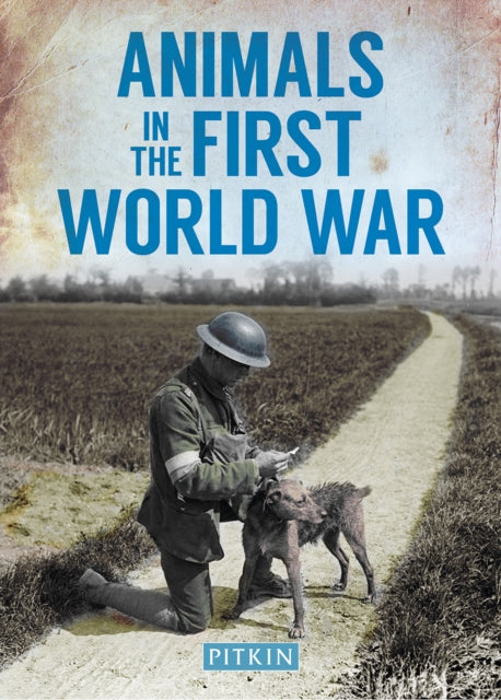 Book cover of: Animals in the First World War. By: Peter Street