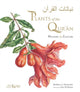 Plants of the Quran, History & Culture 9781842467176 Shahina A. Ghazanfar