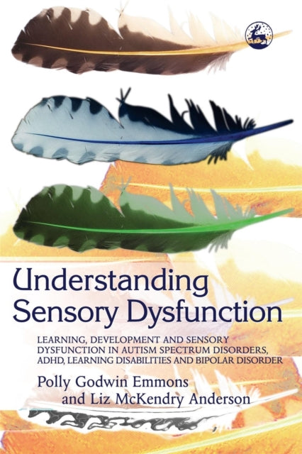 Book cover of: Understanding Sensory Dysfunction. By: Polly Godwin Emmons