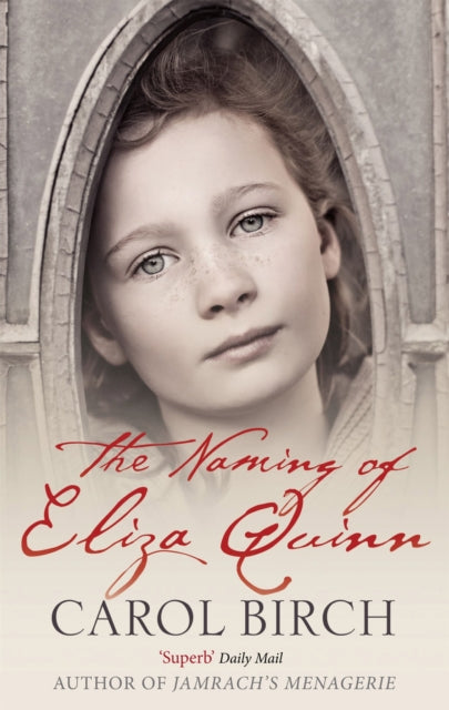 Book cover of: Naming Of Eliza Quinn. By: Carol Birch