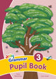 Grammar 3 Pupil Book, In Precursive Letters (British English edition) 9781844144051 Sara Wernham