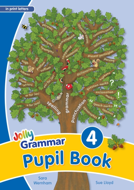 Grammar 4 Pupil Book, In Print Letters (British English edition) 9781844144761 Sara Wernham