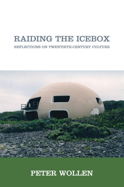 Book cover of: Raiding the Icebox. By: Peter Wollen