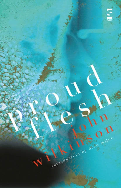 Book cover of: Proud Flesh. By: John Wilkinson