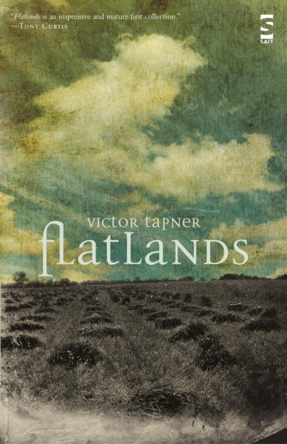 Book cover of: Flatlands