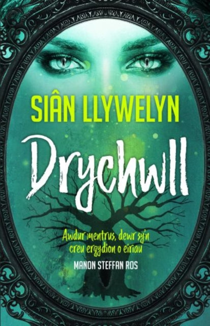 Book cover of: Drychwll. By: Siân Llywelyn