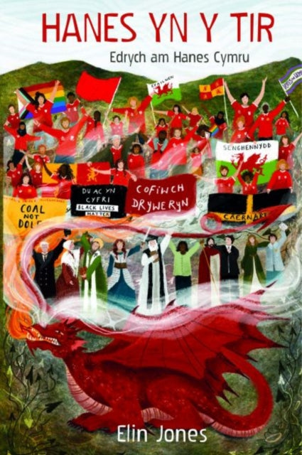 Book cover of: Hanes yn y Tir. By: Elin Jones