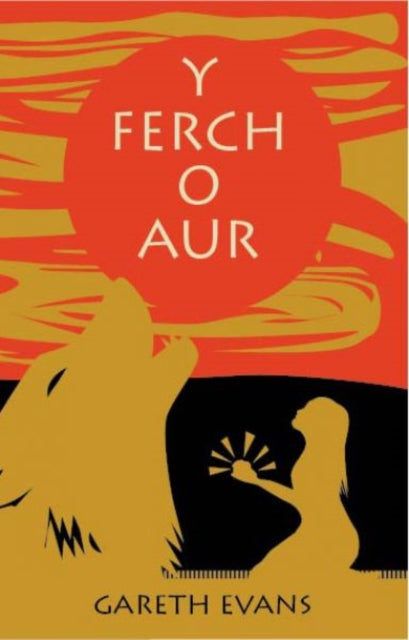 Book cover of: Y Ferch o Aur. By: Gareth Evans