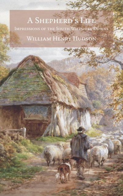Book cover of: Shepherd's Life. By: Hudson, William Henry, 3rd