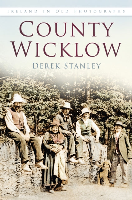 Book cover of: County Wicklow. By: Derek Stanley
