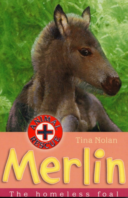 Book cover of: Merlin. By: Tina Nolan